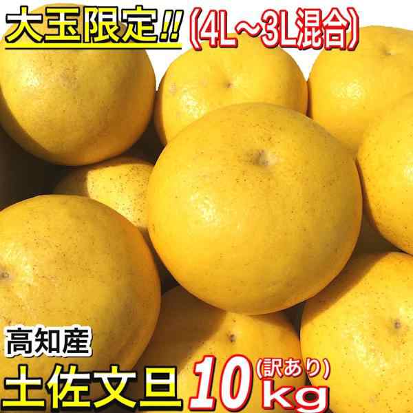 訳あり 文旦 大玉限定 土佐文旦 4L 3L 混合 10kg 高知県産 ぶんたん