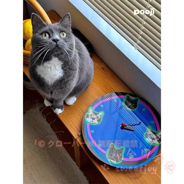 写真キーホルダー ペット オーダー アクリル 犬 猫 ハムスター 記念品 オリジナルデザイン カスタムグッズ クリエイティブギフト KNK(株) 思い出を形に