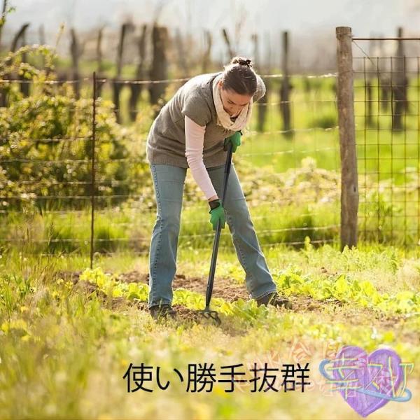 草取り道具 雑草取り 草むしり 便利グッズ 2in1 土ほぐし 種まき 除草 葉集め 柄付き KNK（株） 園芸用品 ガーデニング 草取りグッズ 時短_10