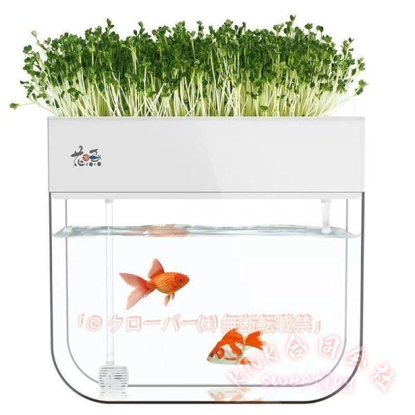 アクアポニックス 水耕栽培システム KNK（株） おしゃれ アクアリウム 有機セルフ給水プランタ 魚 植物 飼育 栽培 室内 ガーデニング 自由研究