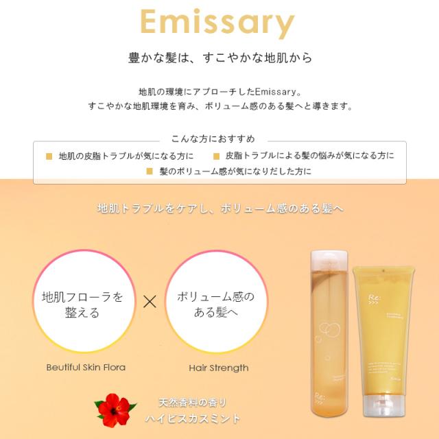 アジュバン Re:エミサリー シャンプー 600ml 2セット（共通
