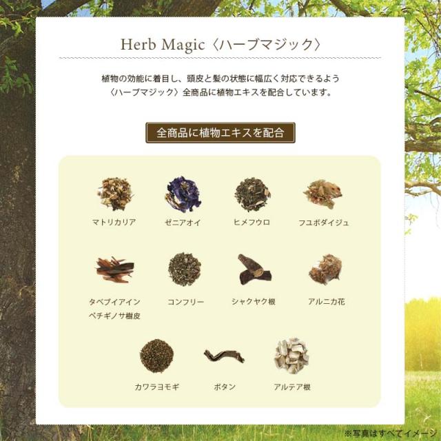 送料無料［ミアンビューティー］ HM ハーブマジック グロスクリーム