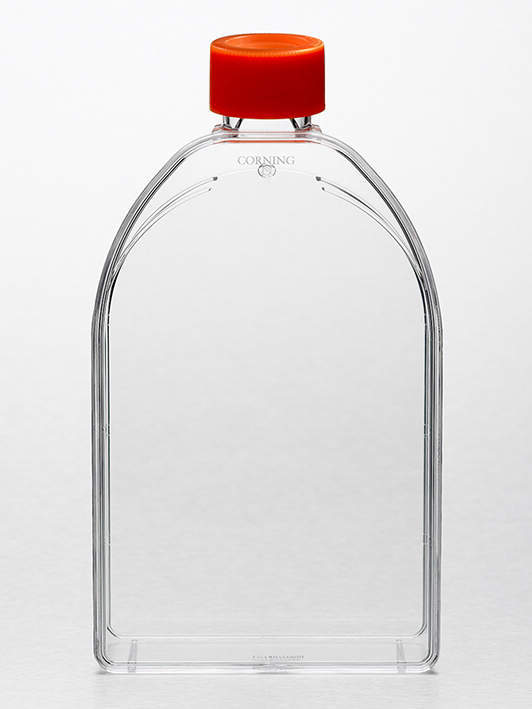 CORNING No.430823 細胞培養フラスコ 50入 培養面積=150cm2 プラグシール カントの通販は
