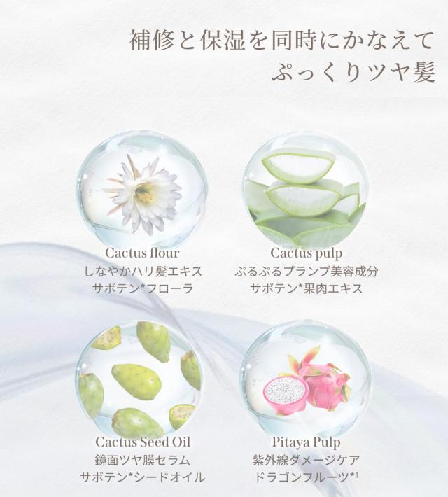 セット サボンドサボタ モイストプランプ シャンプー本体1本（420ml