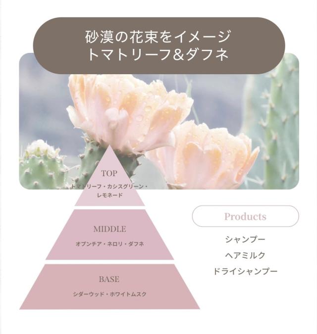 さぁぼん様おまとめセット シャンプー・トリートメント 育毛剤を1本づつ 選べるボトル＆詰替セット WANOMI 和の実 シャンプー トリートメント