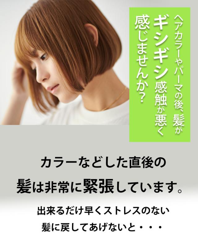 レビュー投稿でポイント5%還元】 ヘアカラー トリートメント 美容室