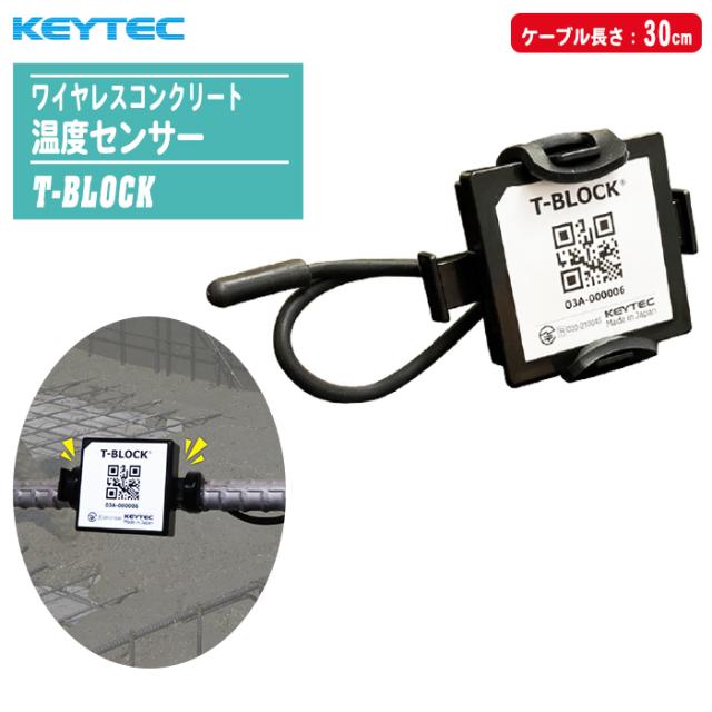 KEYTEC キーテック ワイヤレスコンクリート温度センサー T-BLOCK センサーケーブル30cm 【コンクリート内部温度 コンクリート養生管理】の通販は 18,966円