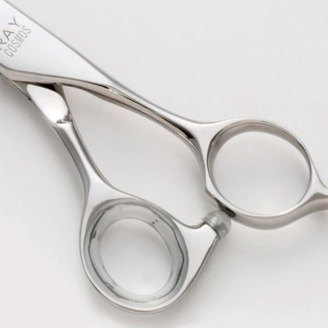 ヒカリシザー レイコスモス 132