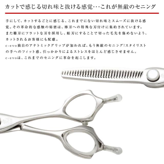 正規品】HIKARI（ヒカリシザーズ）セニングシザーズ C-EVO 762