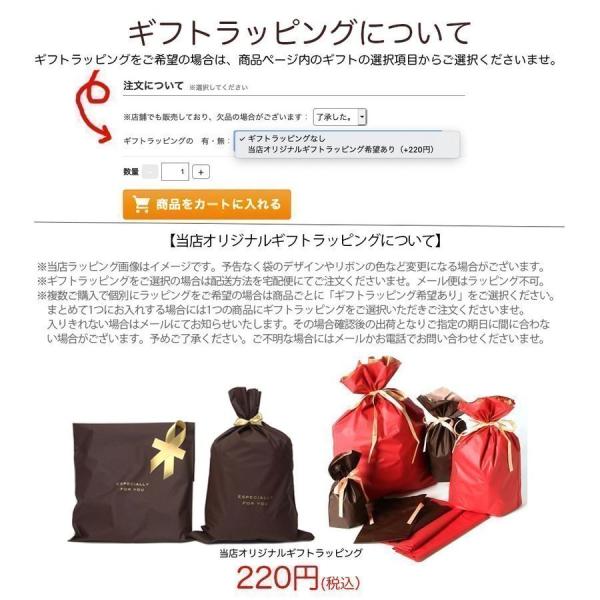 カルバンクライン ベルト Calvin Klein 4100 1002 001 プレート