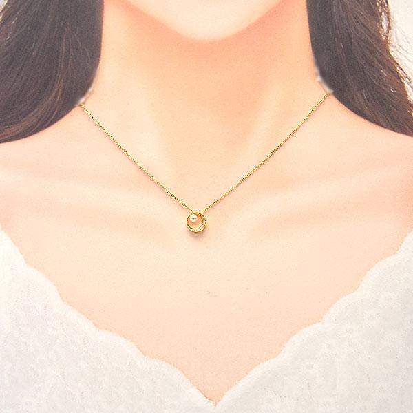 ピンキー＆ダイアン ネックレス 2024クリスマス限定 特別ケース付き 