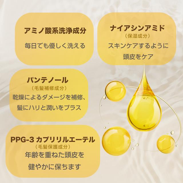 Seika 全 シャンプー 400mL フレッシュグリーンリーフと和漢の香り