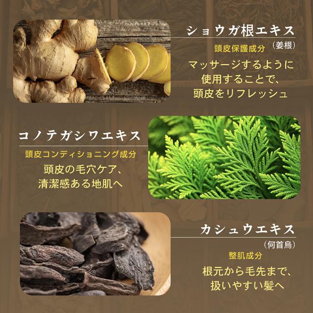 シャンプー SAE Seika 全 シャンプー 400mL フレッシュグリーンリーフと和漢の香り