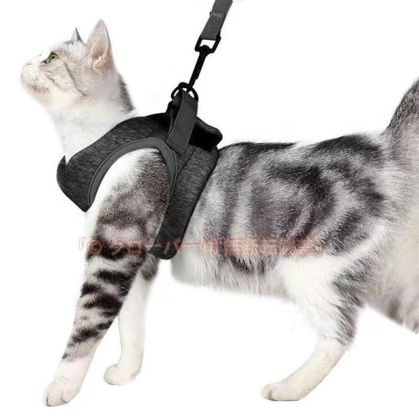 猫用ハーネス 胴輪 安全首輪 猫リード 犬 ペット用ベーシック首輪 歩行補助 クローバー株式会社 引っ張り防止 脱走防止 軽量 小型犬