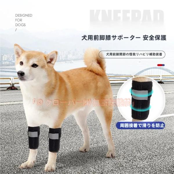 犬用膝サポーター 犬 サポーター 前足専用 後ろ足専用 1枚入 足根関節