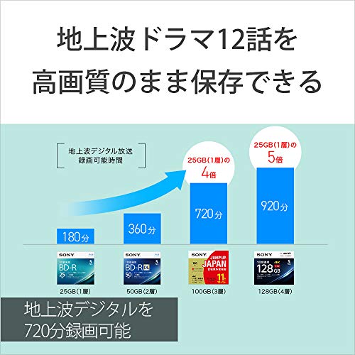 ソニーSONY 日本製 ブルーレイディスク BD-RE XL 100GB 1枚あたり地デジ約12時間 繰り返し録画用 11枚入り 2倍速ダビング