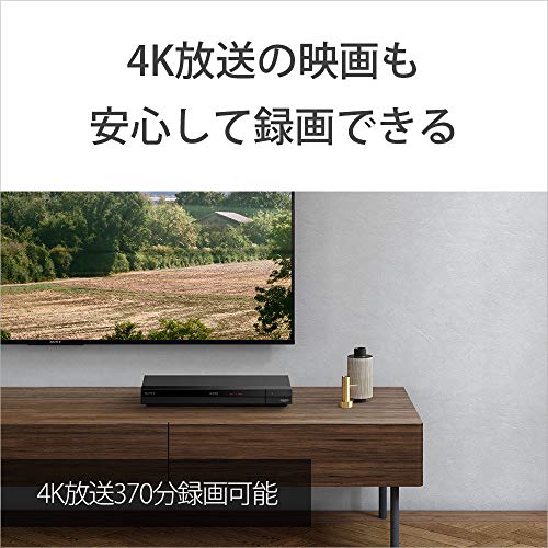 ソニーSONY 日本製 ブルーレイディスク BD-RE XL 100GB 1枚あたり地デジ約12時間 繰り返し録画用 11枚入り 2倍速ダビング