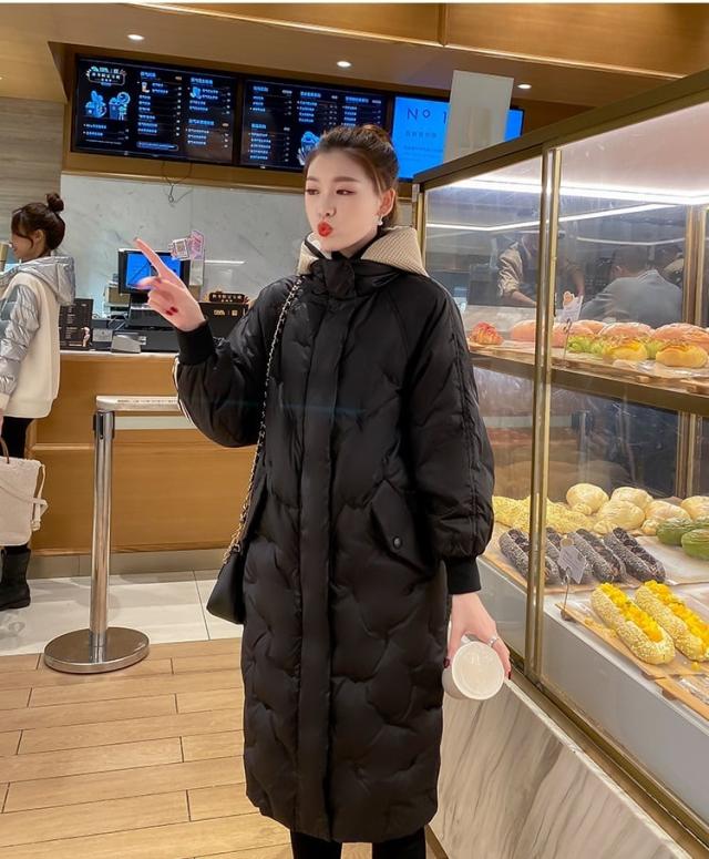 ダウンコート ダウンジャケット ロング丈 l アウター コート