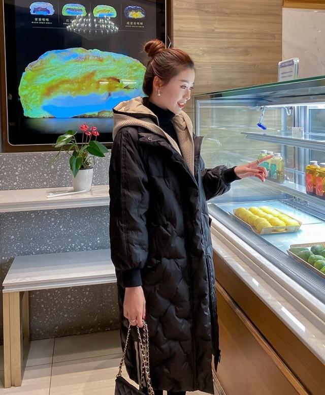 ダウンコート ダウンジャケット ロング丈 l アウター コート