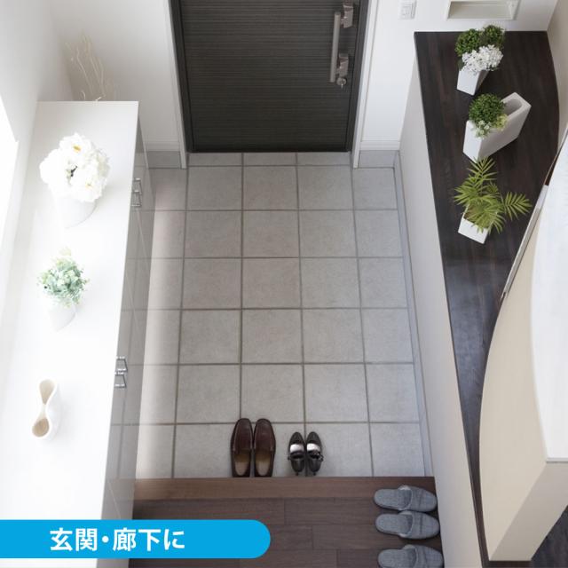 専用11月24日まで　LED蛍光灯 LT8-N20D-H12C 20W LEDスリムライト LEDエコスリムチューブライト コンセント