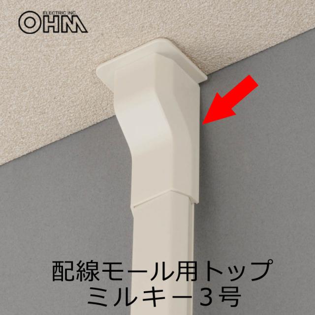 配線モール モールトップ 3号 ミルキー Dz Fmt3mw 09 2282 オーム電機の通販はau Pay マーケット E 商店 Au Pay マーケット店