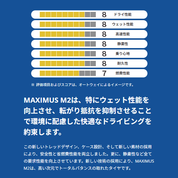 245/45R19 4本セット サマータイヤ MAXTREK MAXIMUS M2_6
