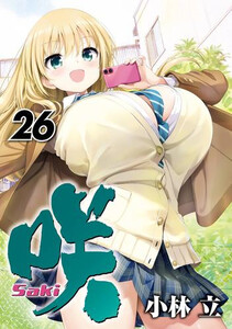 咲-Saki- 1～19、21巻22巻セット＋スピンオフ作品17冊 咲-Saki- 1～19、21巻22巻セット＋スピンオフ作品17冊 漫画