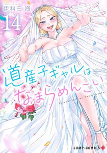 [新品]道産子ギャルはなまらめんこい (1-14巻 全巻) 全巻セット