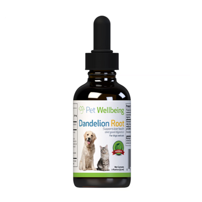 【送料無料!】 Pet Wellbeing 液体サプリメント Dandelion Root (犬用) 59ml （お取り寄せ品）　0661822000588の通販は 19,800円