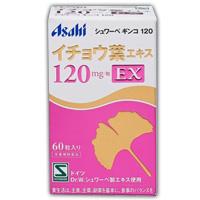 シュワーベギンコ　イチョウ葉エキス　120mg　EX　60粒　4946842820160の通販は 8,003円