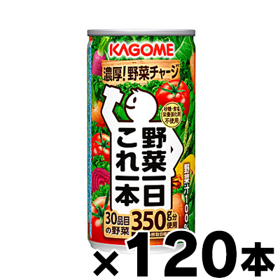 【送料無料！】 120缶入り カゴメ　野菜一日これ一本　190g  4ケース 【本ページ以外の同時注文同梱不可】　4901306186602*4