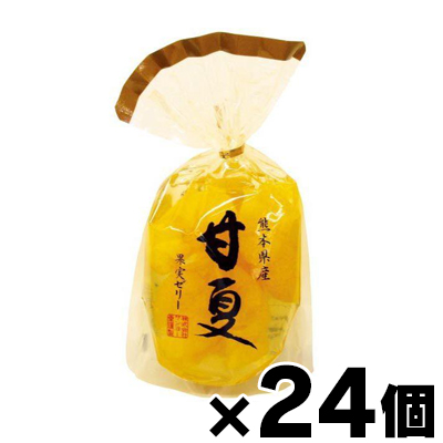 【送料無料！】 サンヨー堂 果物ゼリー 甘夏 350g×24個　4901605805341*24