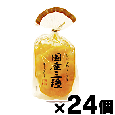 【送料無料】 サンヨー堂 果実ゼリー 国産三種　350g×24個　4901605805402*24