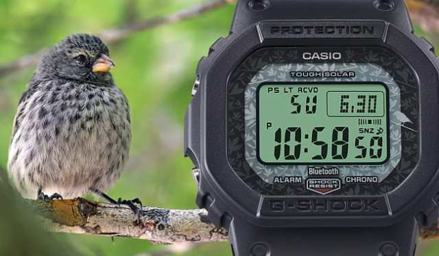 カシオ/G-SHOCK【CASIO/Gショック】ソーラー電波腕時計 マルチバンド6　モバイルリンク GW-B5600CD-1A3JR【国内正規品】