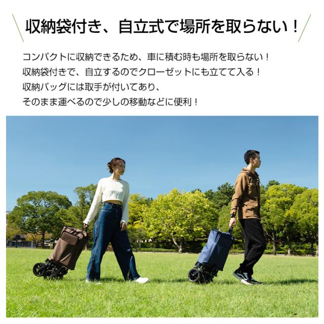 キャリーカート シート二重構造 収納袋付き キャリーワゴン 折りたたみ