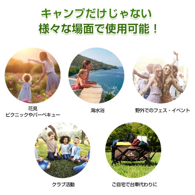 キャリーカート シート二重構造 収納袋付き キャリーワゴン 折りたたみ