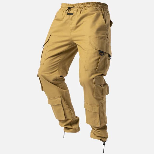 BLACKTAILOR ブラックテイラー N30 CARGO Mud カーゴパンツ メンズ mens ワークパンツ ボトムス アウトドア 登山 おしゃれ ブランドの通販は