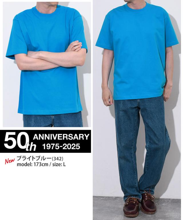 BEEFY-T ヘインズ Hanes ビーフィー BEEFY Tシャツ メンズ