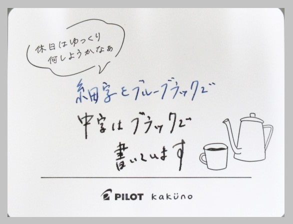 パイロット万年筆 キャップレス 木軸 FC25SK 40000円 インク1箱付 18金