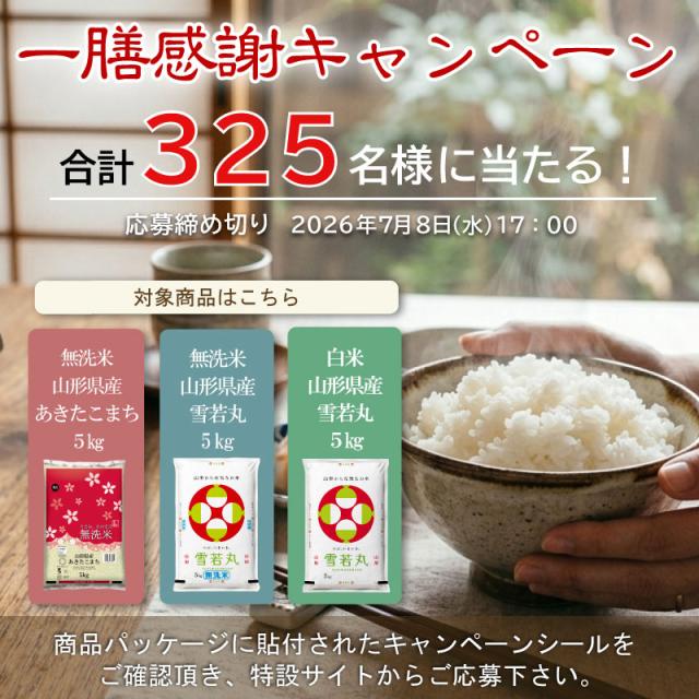 お値打ち価格続行+ポイント5倍] 令和7年産 無洗米 山形県産 雪若丸 
