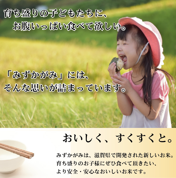令和7年産 無洗米 滋賀県産 みずかがみ 10kg(5kg×2袋)  [翌日配送] 送料無料 /北海道沖縄へは別途送料760円_4