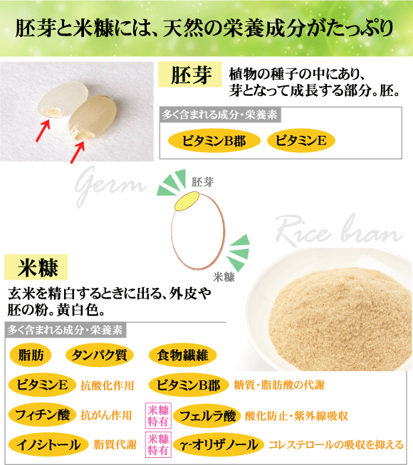 国産 こめ油 500g【米油/こめあぶら/築野食品/TSUNO】【送料別760円/宅配便送料無料商品と同梱OK】の通販はau PAY マーケット -  美味しいお米はハーベストシーズン