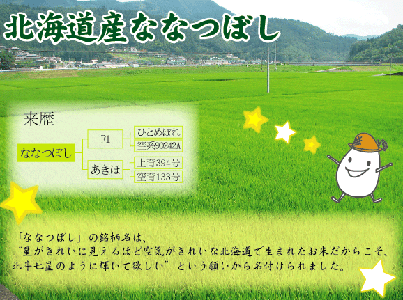 令和7年産 無洗米  北海道産ななつぼし5kg と 新潟県産コシヒカリ5kg の計10kgの組合せセット 【送料無料 [翌日配送]/北海道沖縄は別途送料760円】_6