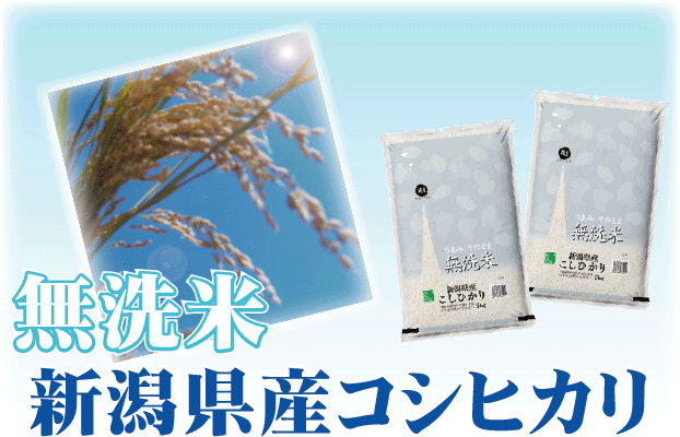令和7年産 無洗米  北海道産ななつぼし5kg と 新潟県産コシヒカリ5kg の計10kgの組合せセット 【送料無料 [翌日配送]/北海道沖縄は別途送料760円】_1