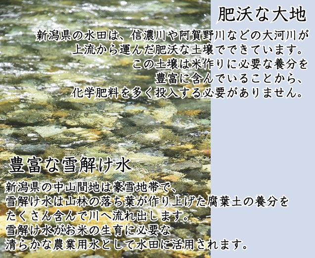 令和7年産 無洗米  北海道産ななつぼし5kg と 新潟県産コシヒカリ5kg の計10kgの組合せセット 【送料無料 [翌日配送]/北海道沖縄は別途送料760円】_3
