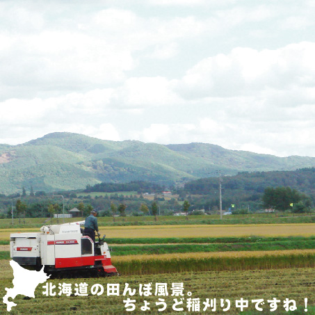 [更にお値打ち価格] 特別価格 令和7年産 無洗米 北海道産 ゆめぴりか20kg(5kgx4袋) 送料無料 北海道沖縄へは別途送料760円 特Ａ獲得米