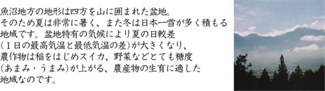 令和7年産 特別栽培米 白米 新潟県 魚沼産 コシヒカリ10kg(5kg×2袋) 送料無料/北海道沖縄へは別途送料760円_2
