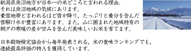 令和7年産 特別栽培米 白米 新潟県 魚沼産 コシヒカリ10kg(5kg×2袋) 送料無料/北海道沖縄へは別途送料760円_3