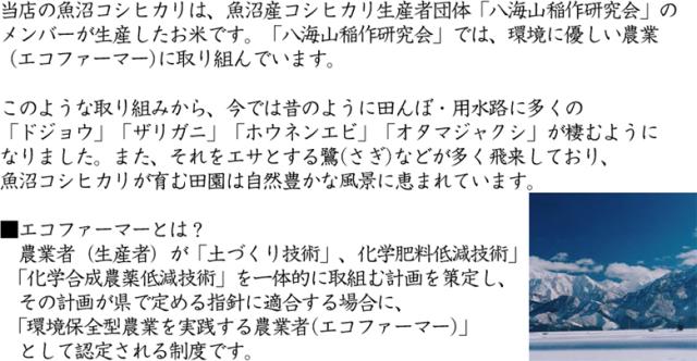 令和7年産 特別栽培米 白米 新潟県 魚沼産 コシヒカリ10kg(5kg×2袋) 送料無料/北海道沖縄へは別途送料760円_4