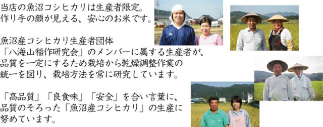 令和7年産 特別栽培米 白米 新潟県 魚沼産 コシヒカリ10kg(5kg×2袋) 送料無料/北海道沖縄へは別途送料760円_5